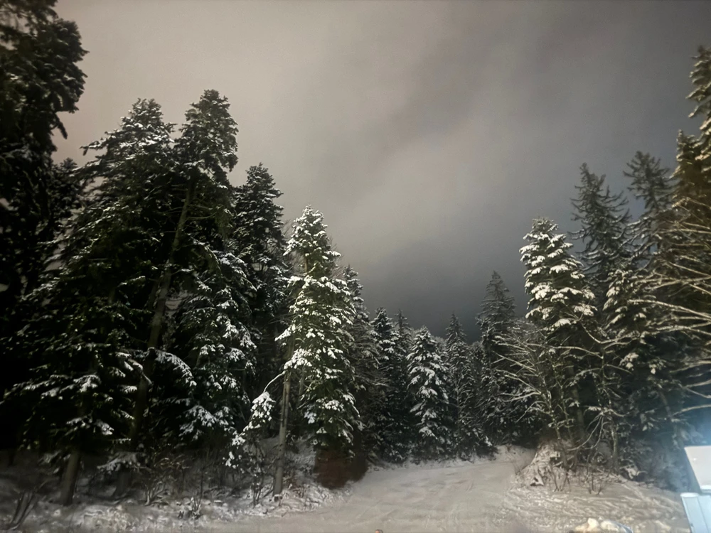 Imagine încărcată de Alex