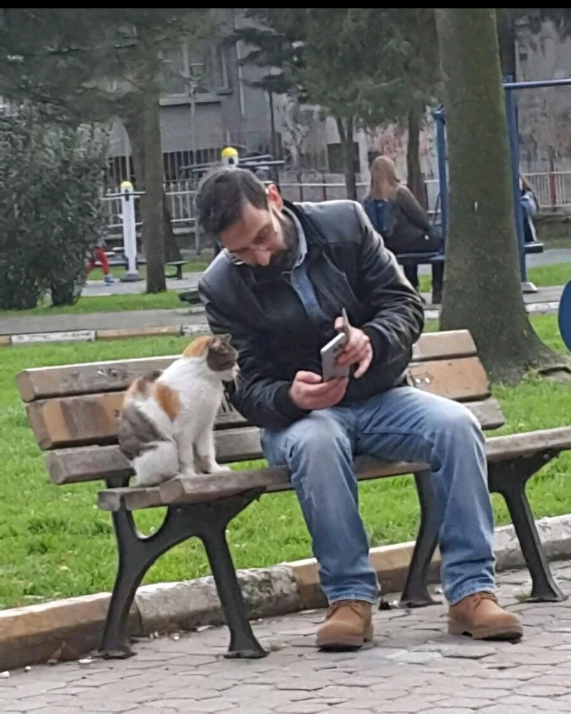 GIF uploaded by Oğuzhan