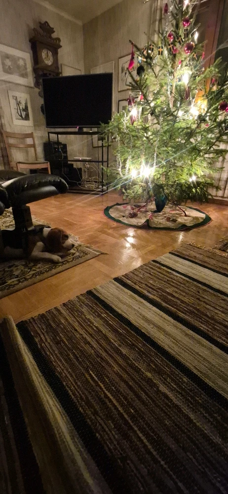 GIF uppladdad av Max