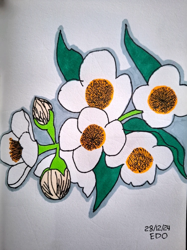 Image uploaded by Edo