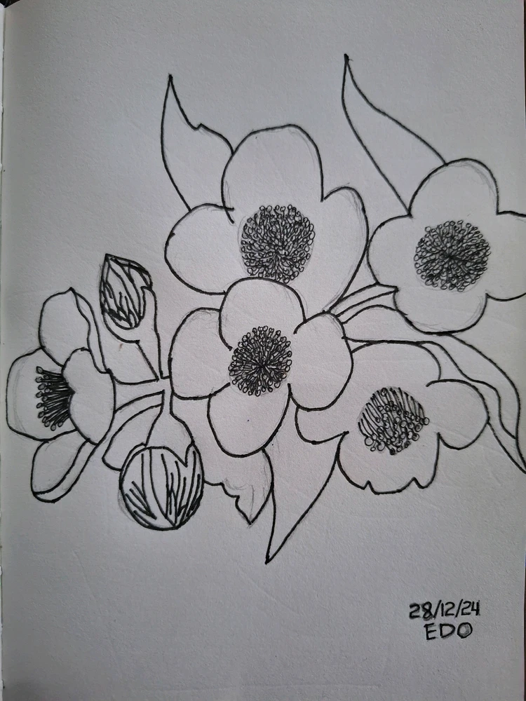 Image uploaded by Edo