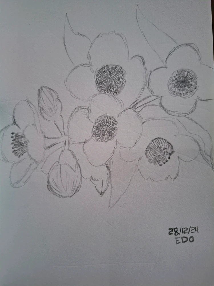 Image uploaded by Edo