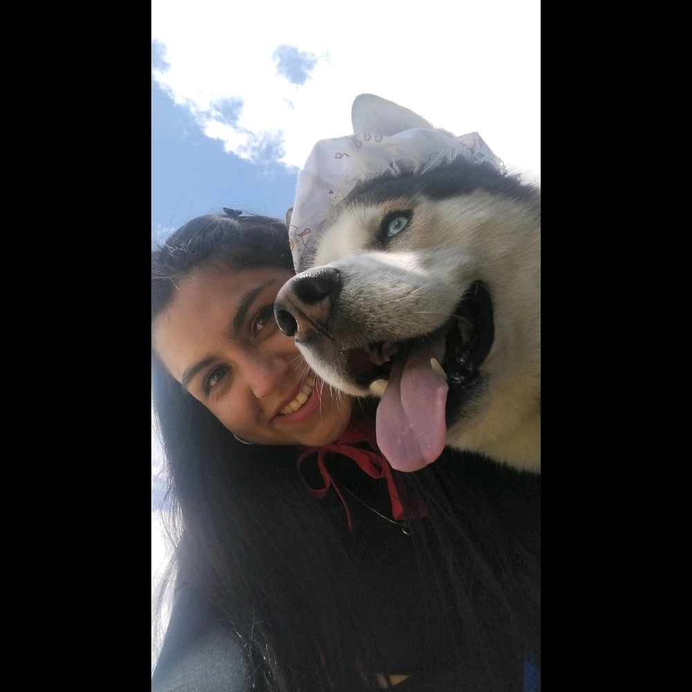 GIF subido por Carol