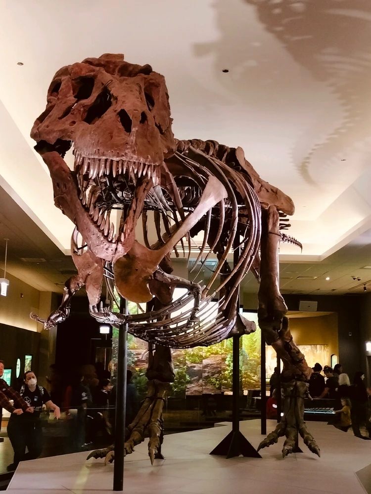 GIF subido por Manuel