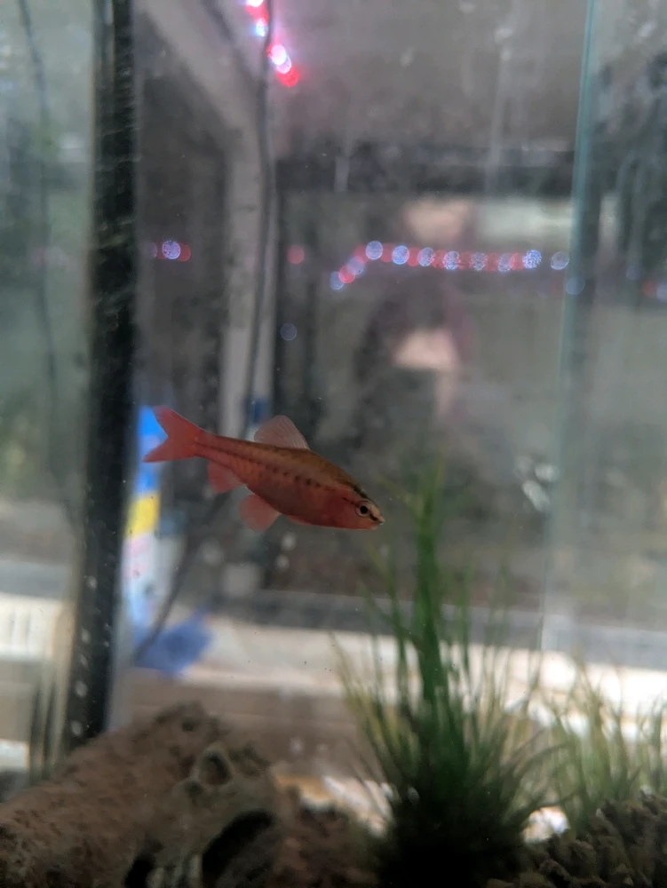 GIF uploaded by Kellyn