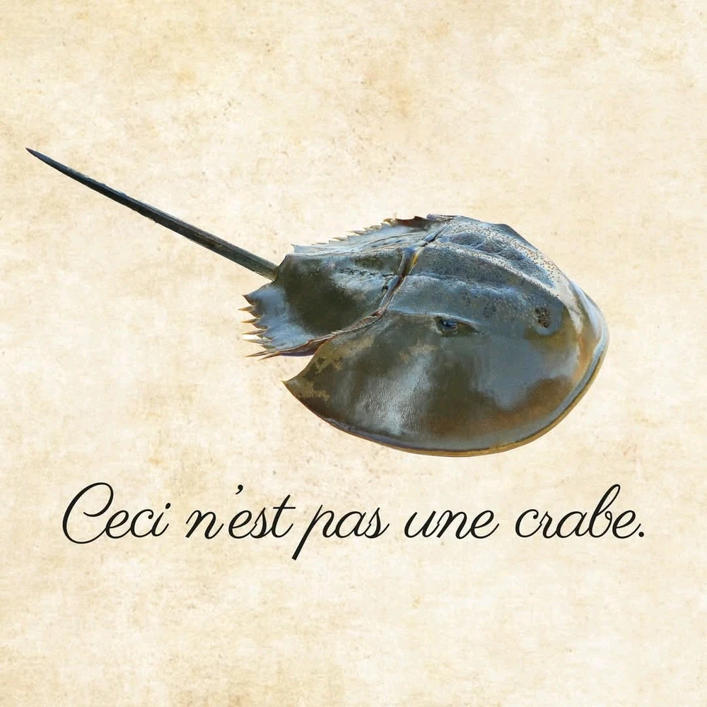 GIF uploaded by Bex