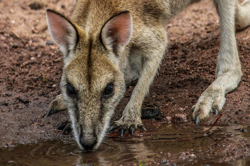 GIF diunggah dening Kris