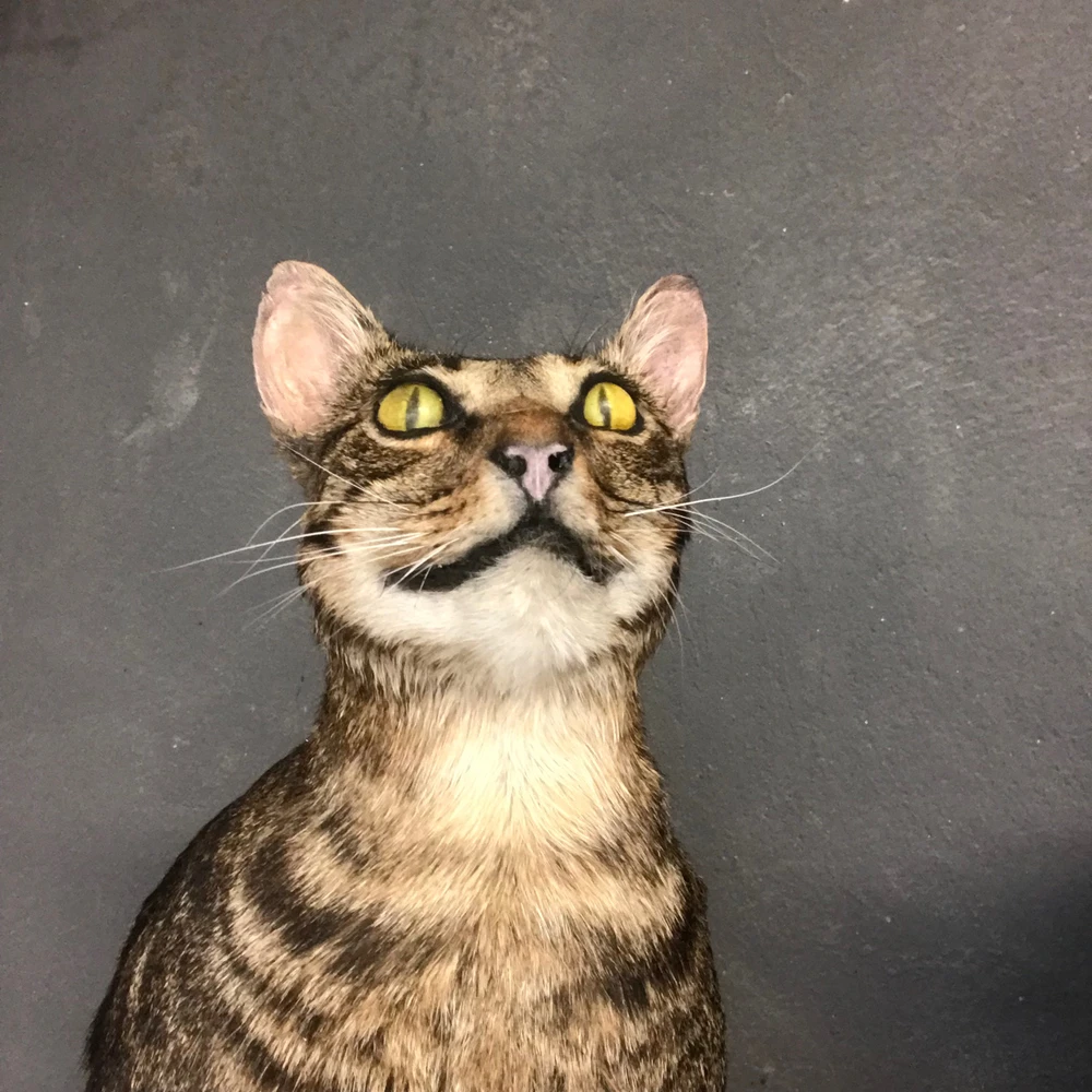 Imagem enviada por Israel Joca