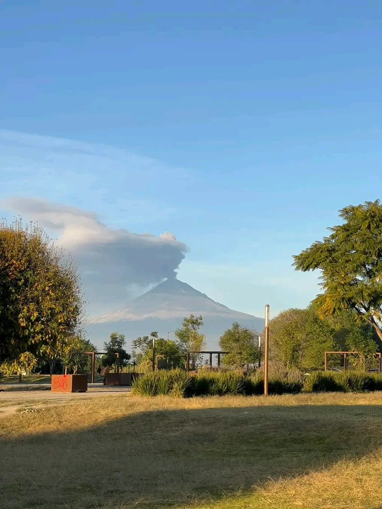 GIF uploaded by ❤ Sophia aka Mango Mami ❤️