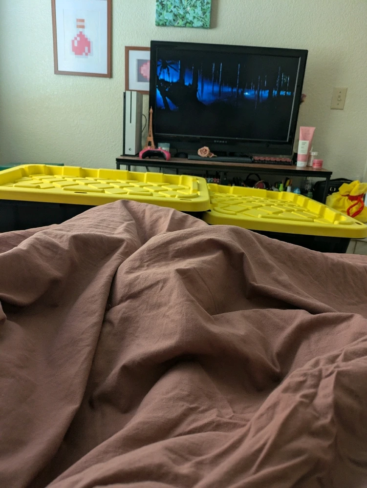 Kea上传的GIF