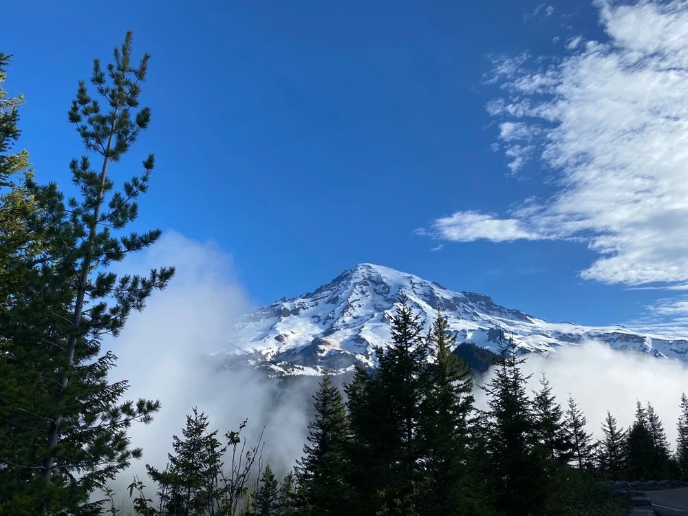 GIF uploaded by Sage