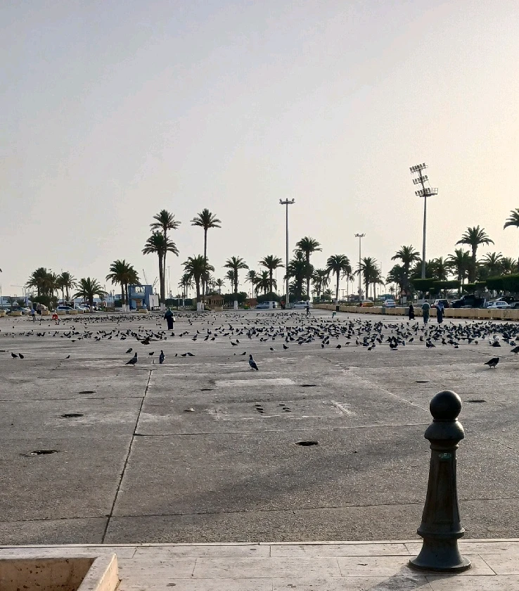 GIF caricata da Subhi