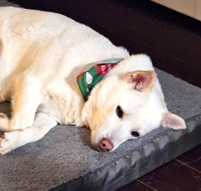 GIF uploaded by Mandie