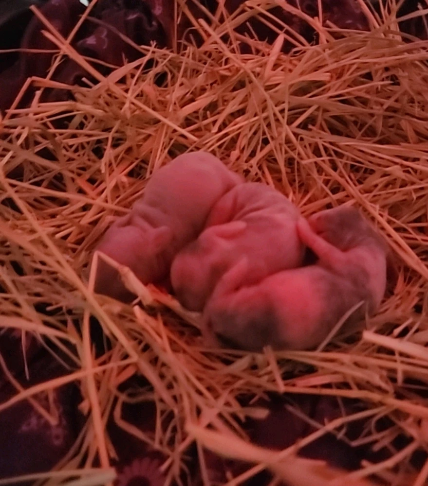 Imagem enviada por Lohana Mara