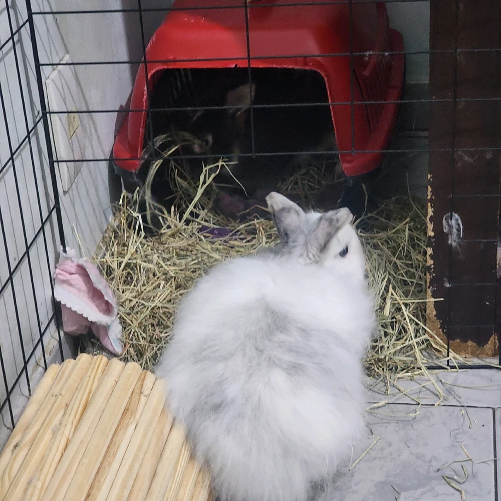 Imagem enviada por Lohana Mara