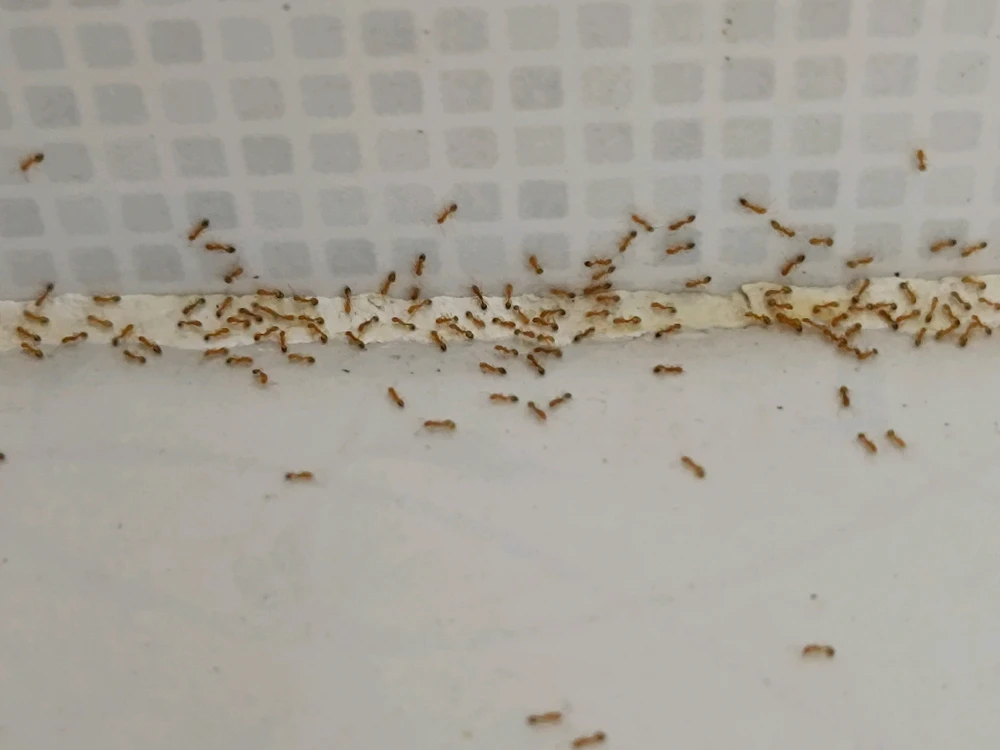 GIF uploaded by Aisan