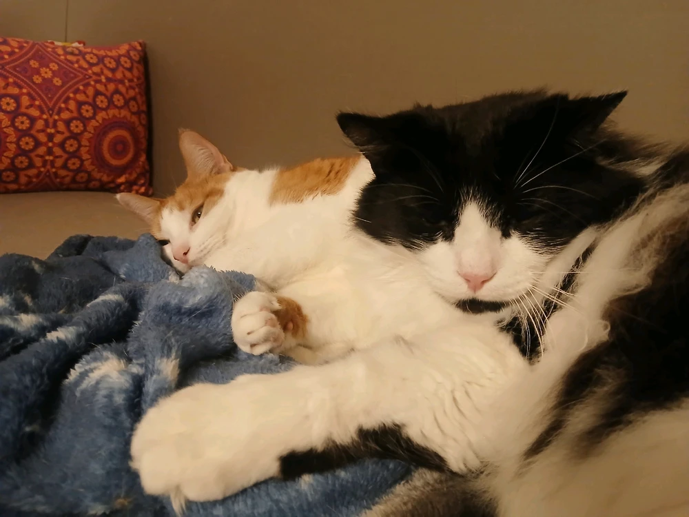 Image uploaded by Michelle