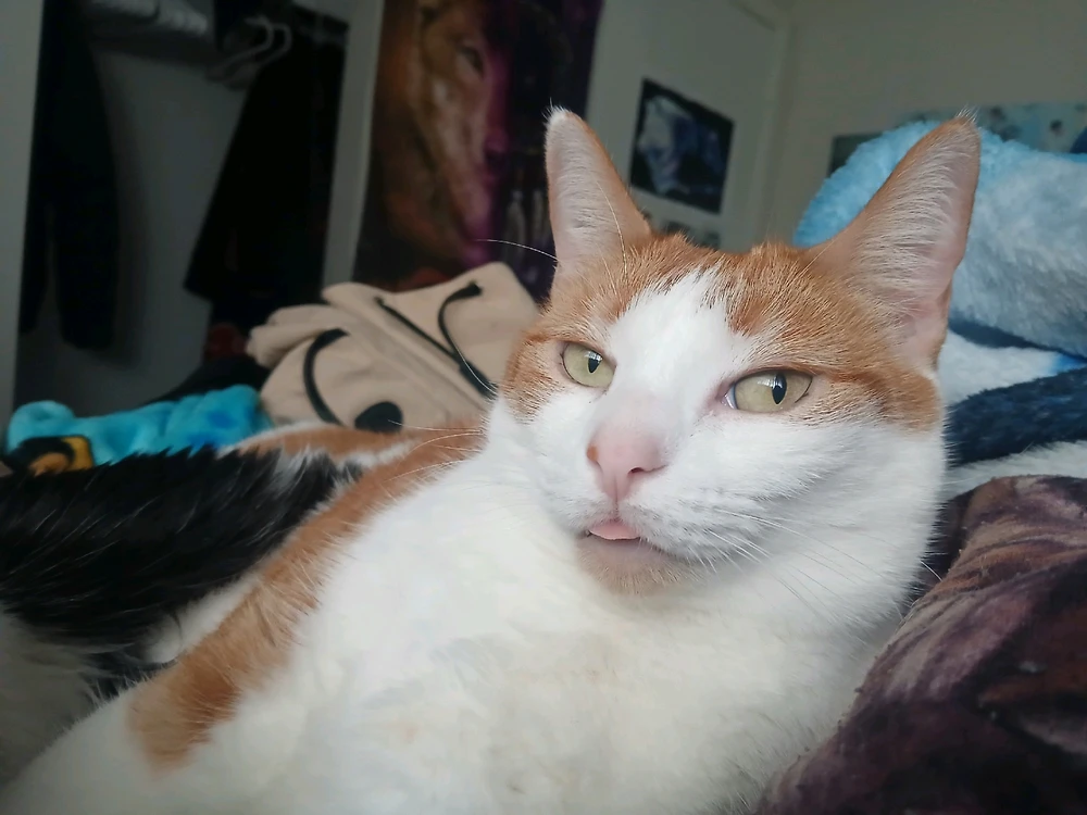 Image uploaded by Michelle