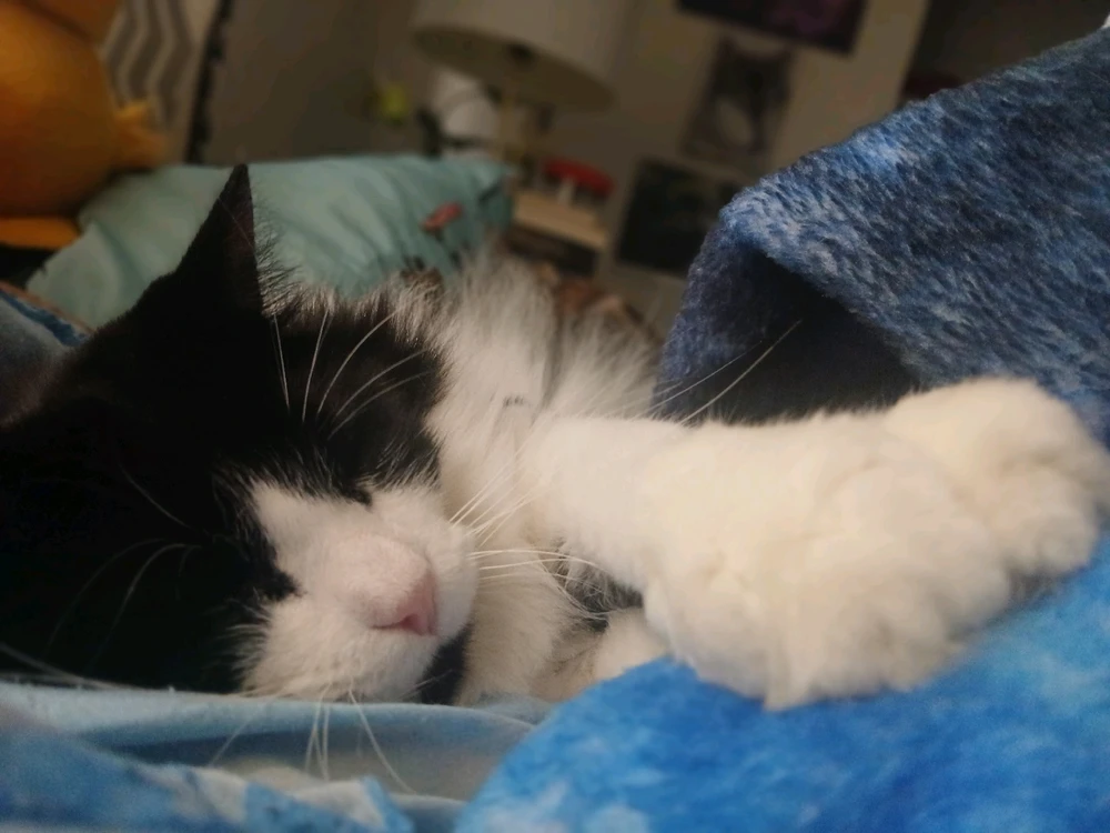 Image uploaded by Michelle