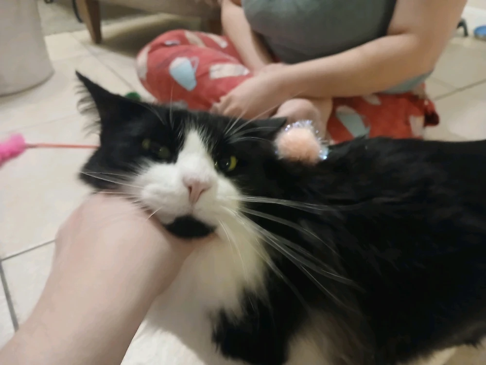 Image uploaded by Michelle