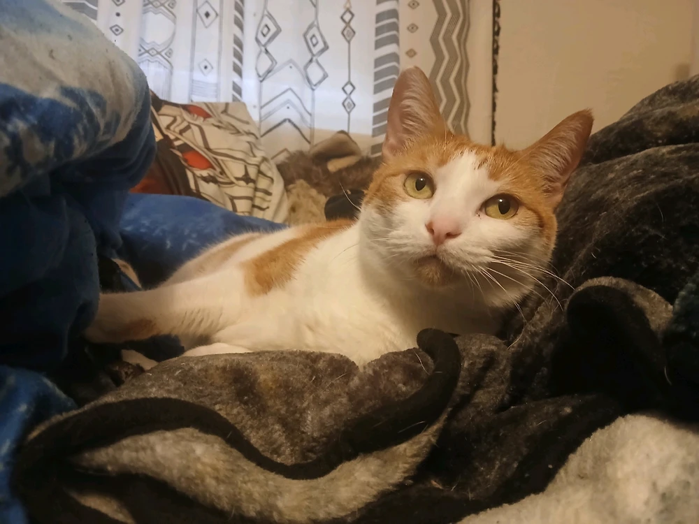 Image uploaded by Michelle