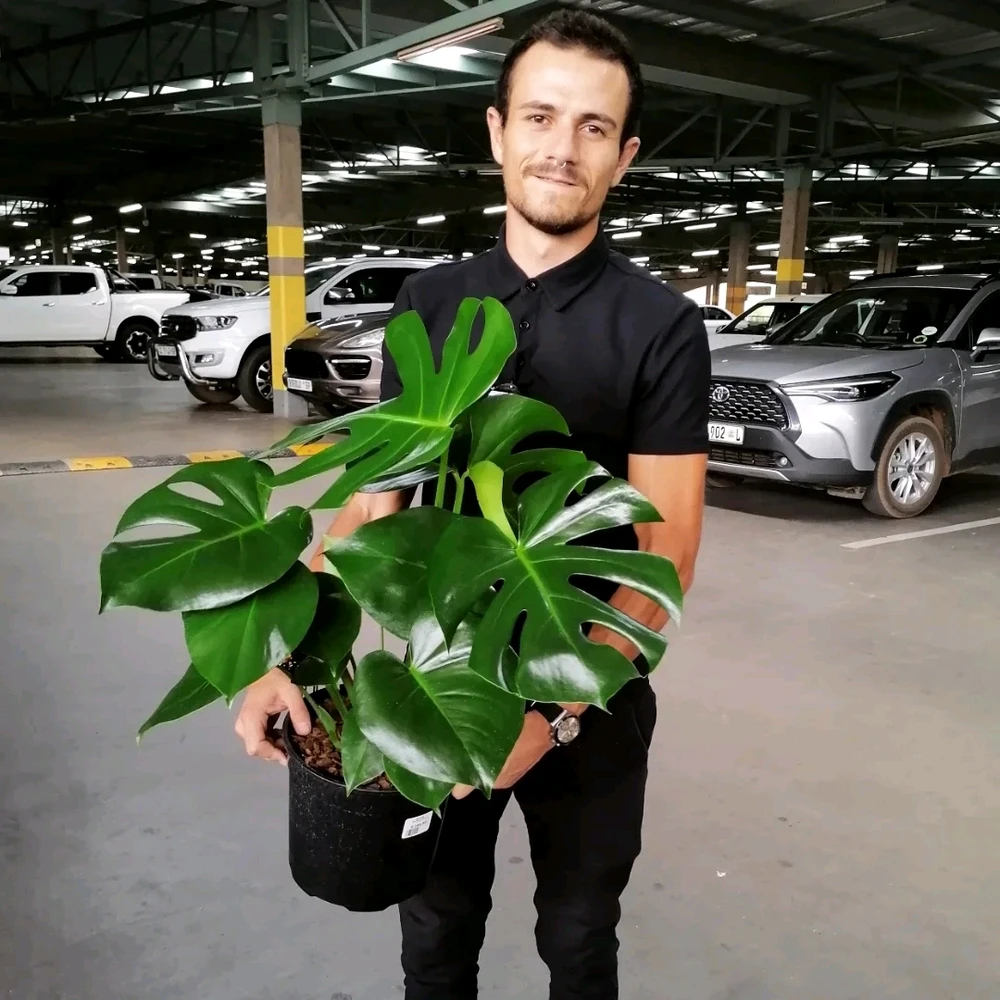 GIF uu soo galiyey Branden