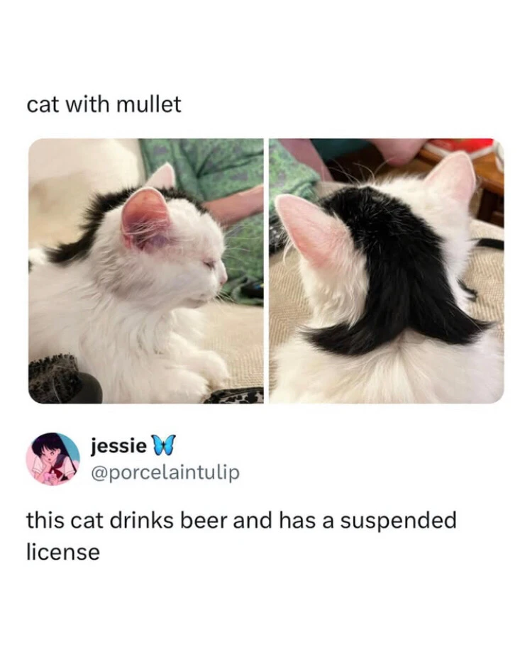 GIF uploaded by Matt