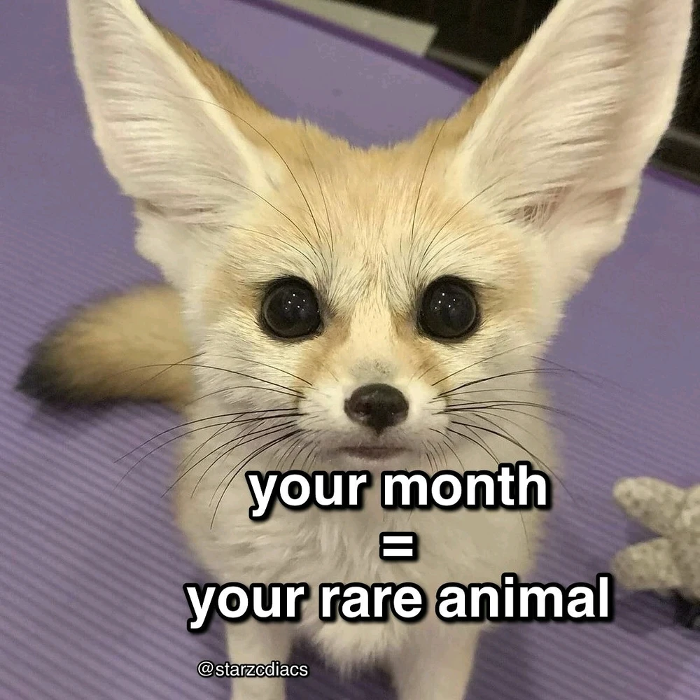 Image uploaded by SuSu