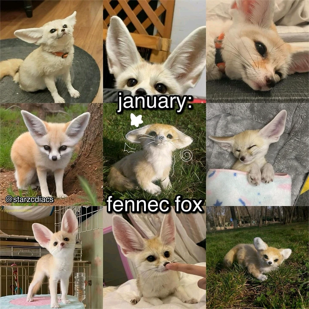 Image uploaded by SuSu