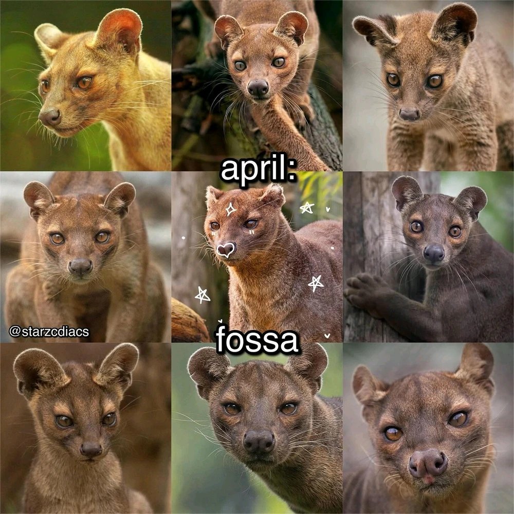 Image uploaded by SuSu