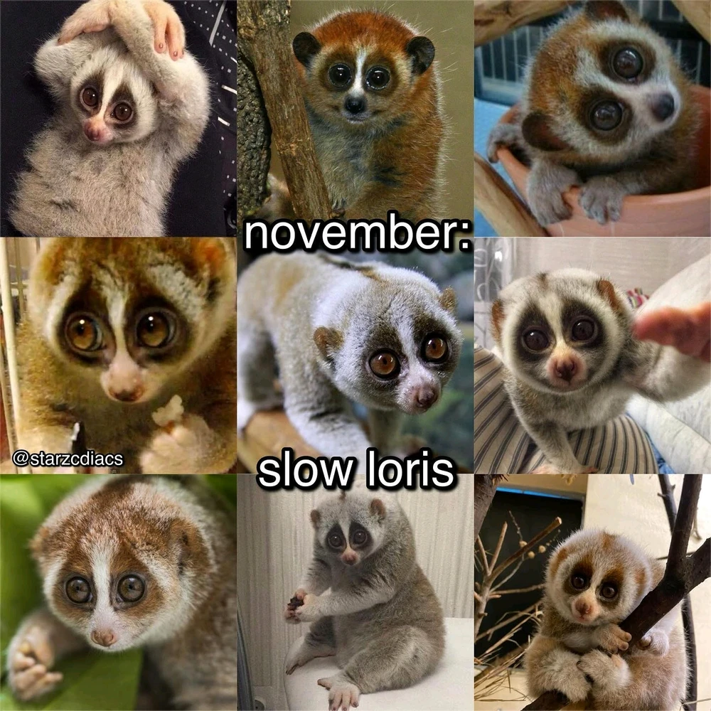 Image uploaded by SuSu