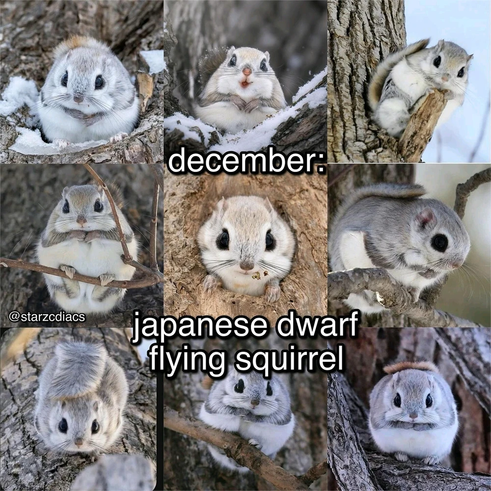 Image uploaded by SuSu