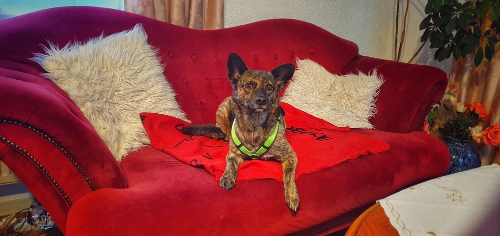 GIF hochgeladen von Liz