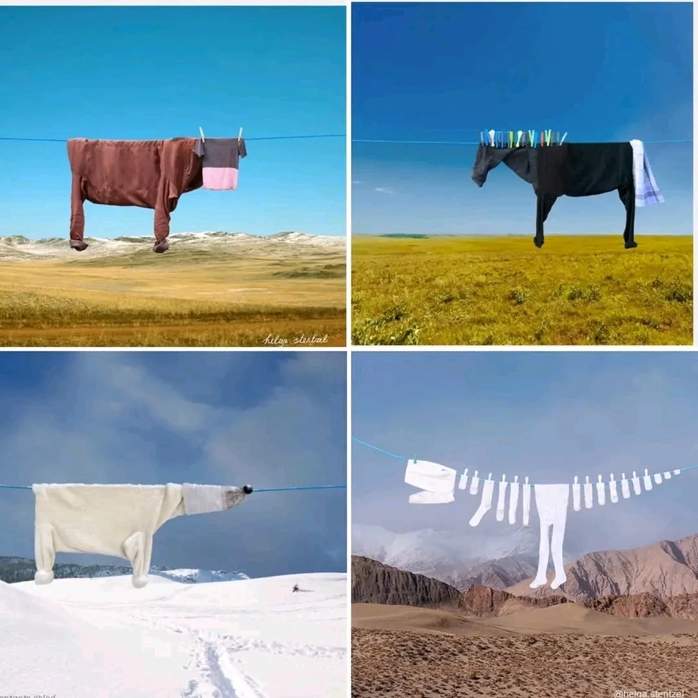 Image ajoutée par Stef