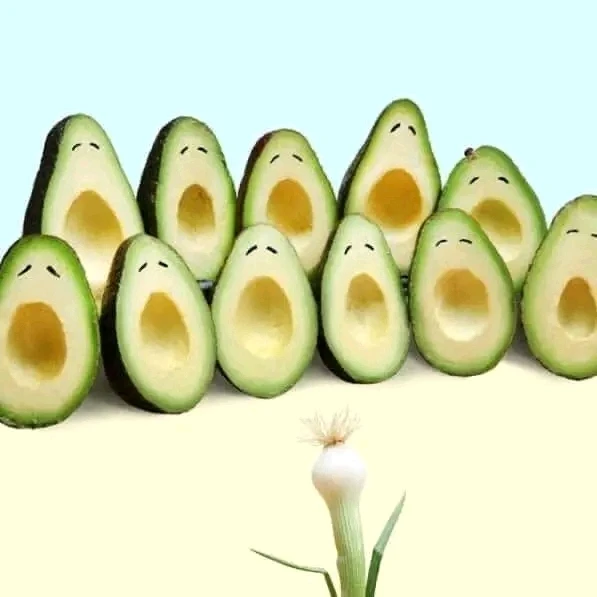 Image ajoutée par Stef