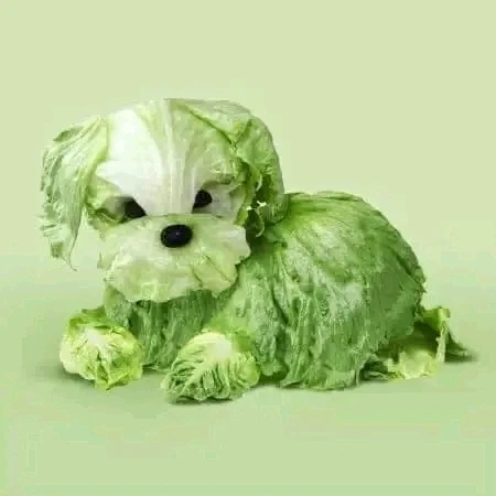 Image ajoutée par Stef