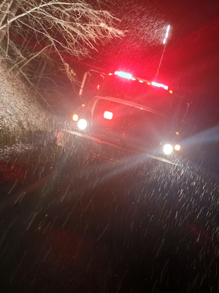 Image uploaded by Joey