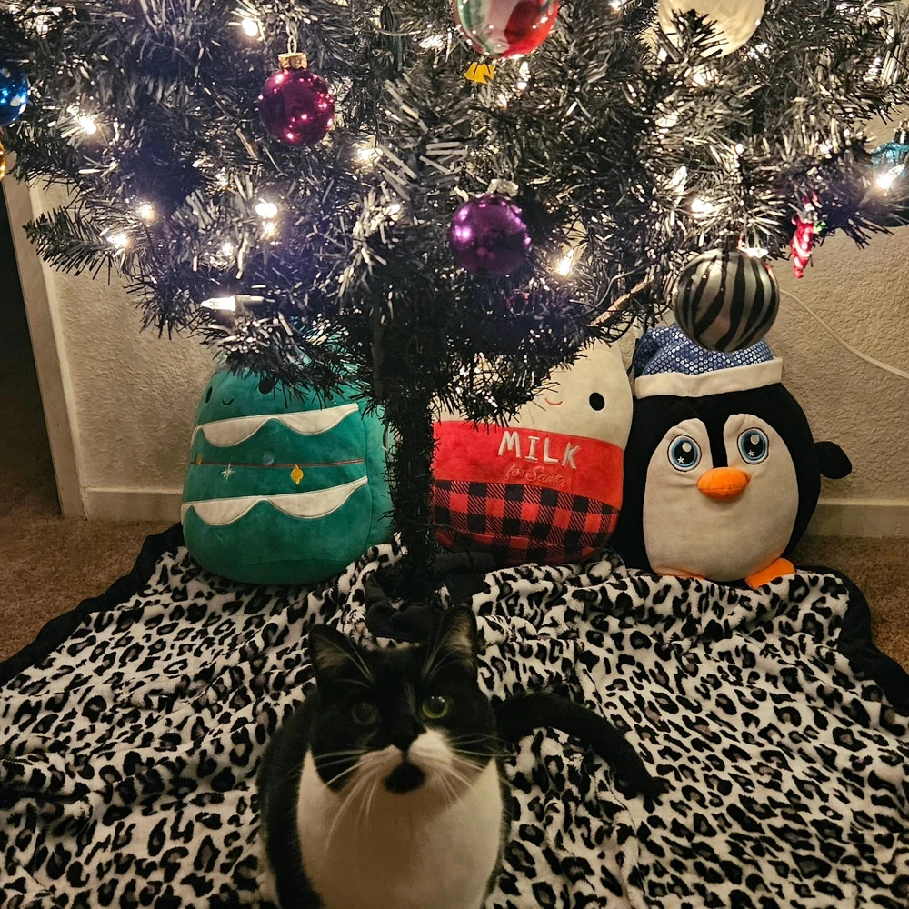 Gambar diunggah dening Heather