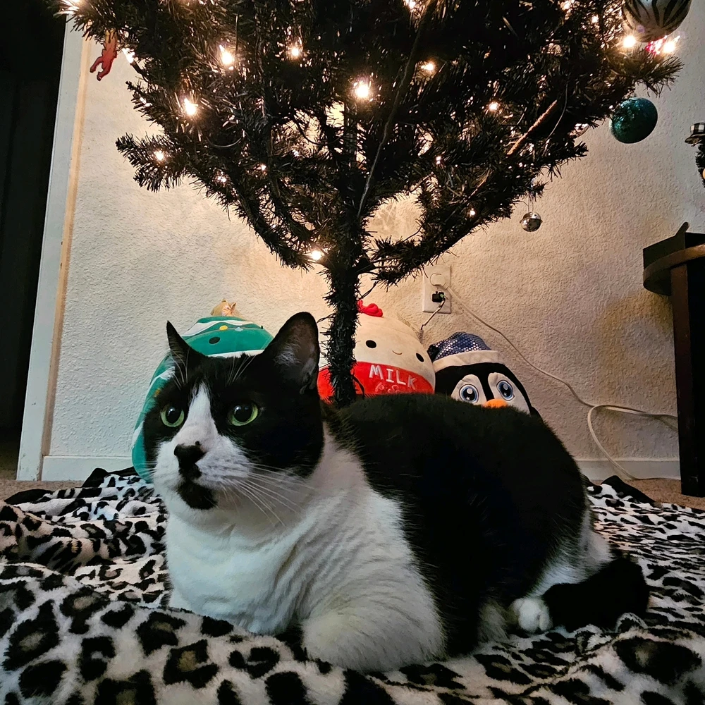 Gambar diunggah dening Heather