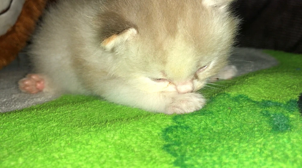 Gambar diunggah oleh Dyh