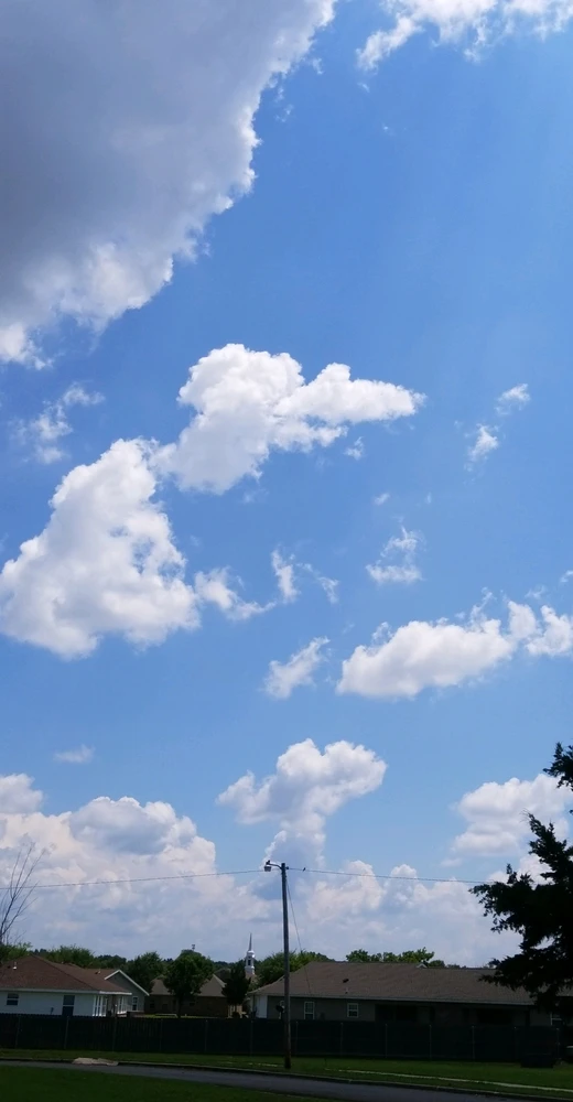 Image uploaded by Tammera aka TRawr