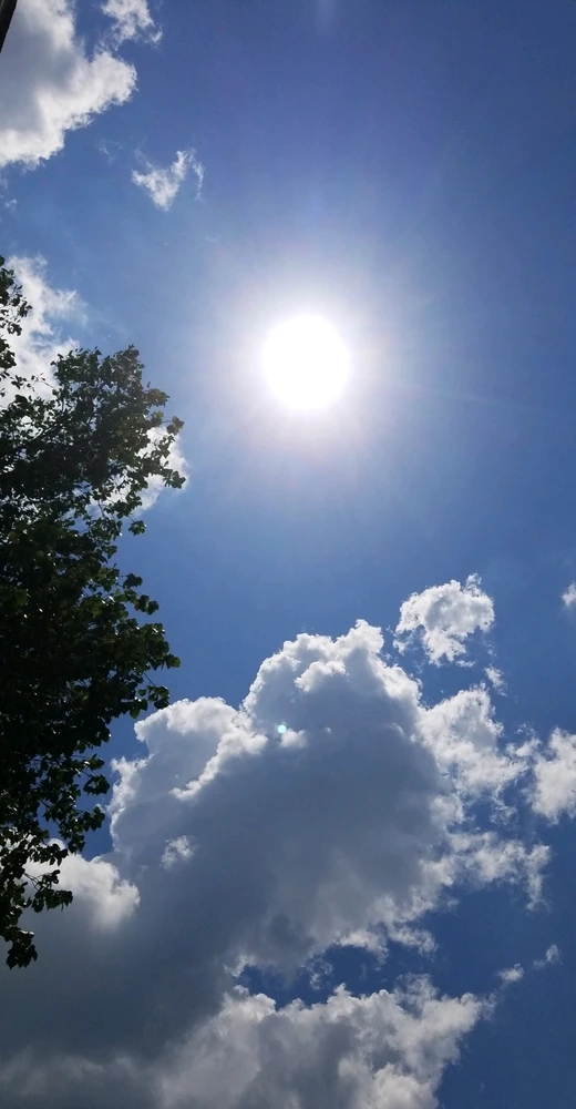 Image uploaded by Tammera aka TRawr