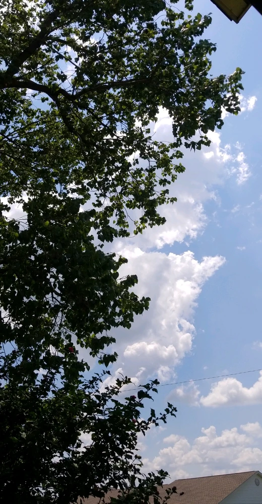 Image uploaded by Tammera aka TRawr