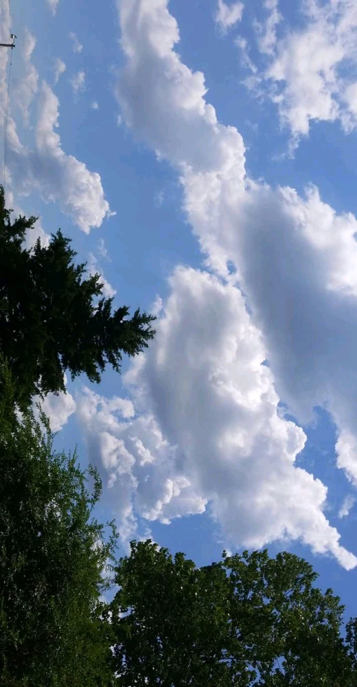 Image uploaded by Tammera aka TRawr