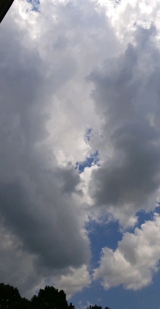 Image uploaded by Tammera aka TRawr