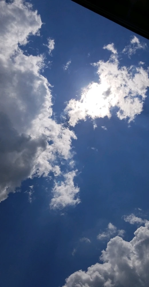 Image uploaded by Tammera aka TRawr