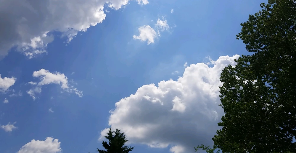 Image uploaded by Tammera aka TRawr