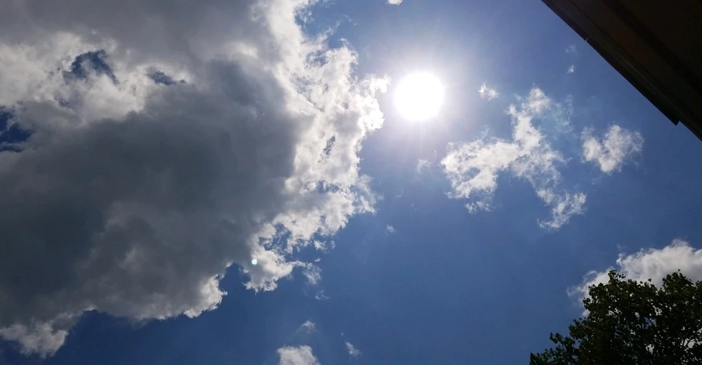 Image uploaded by Tammera aka TRawr