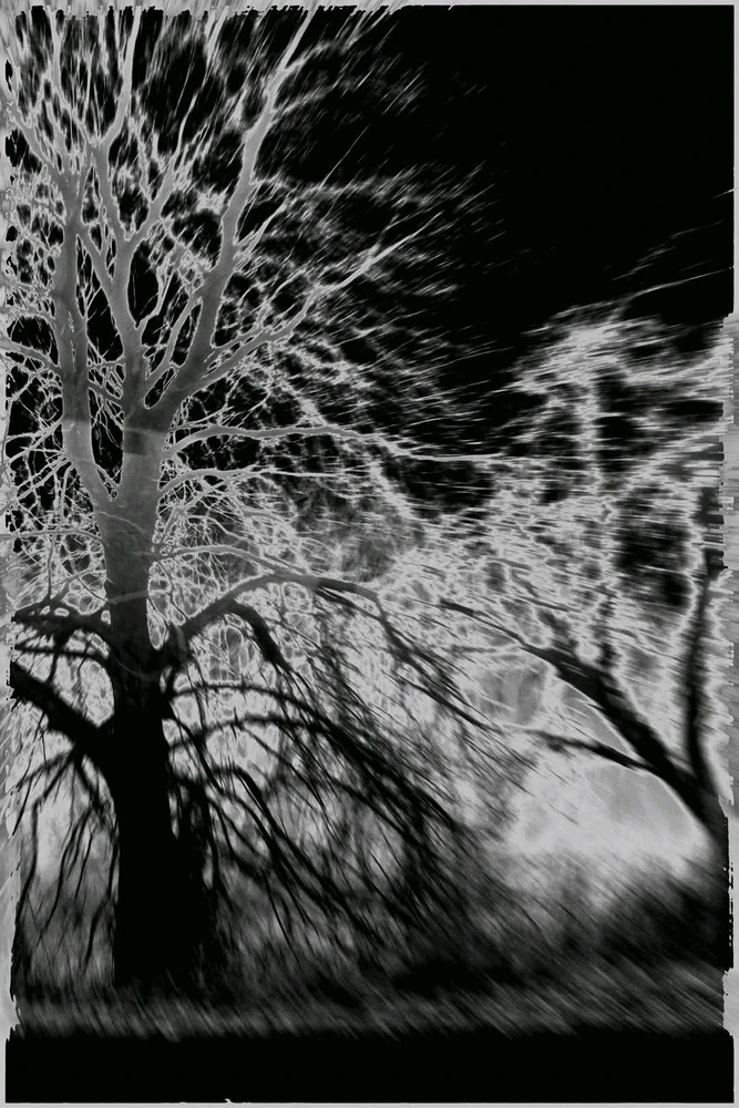 GIF hochgeladen von Dennis