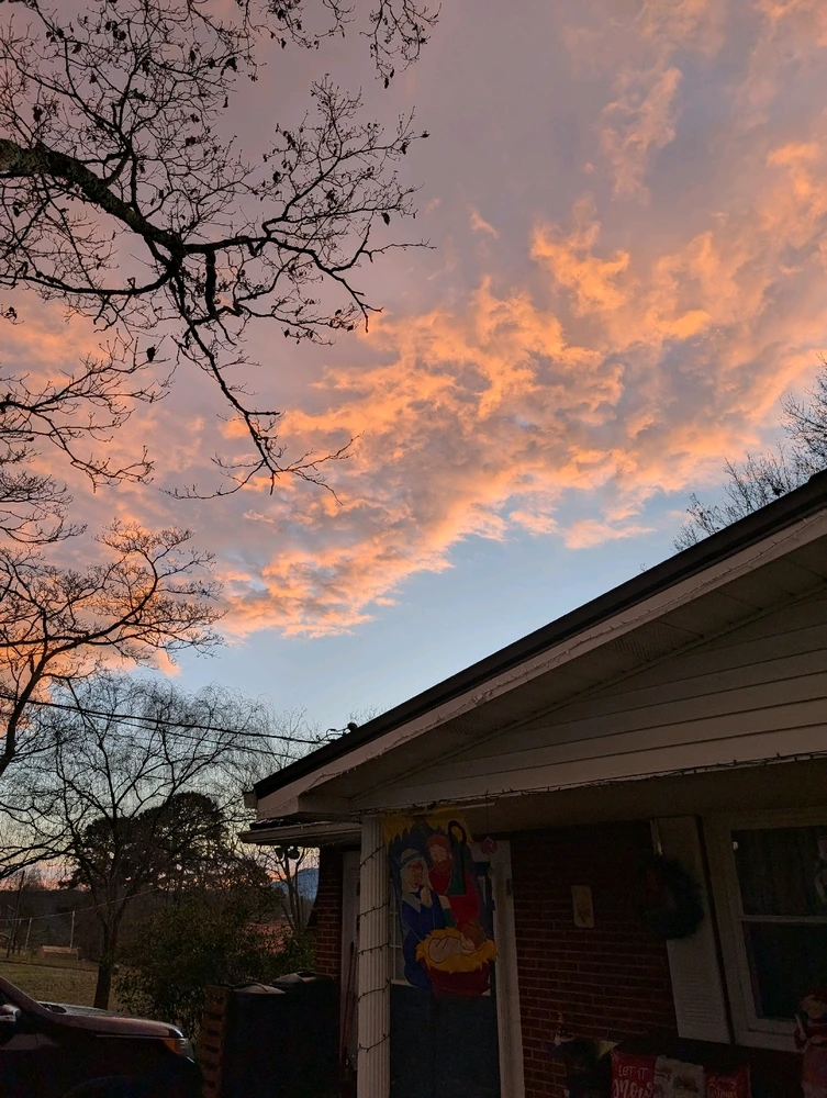 Image uploaded by Veronica